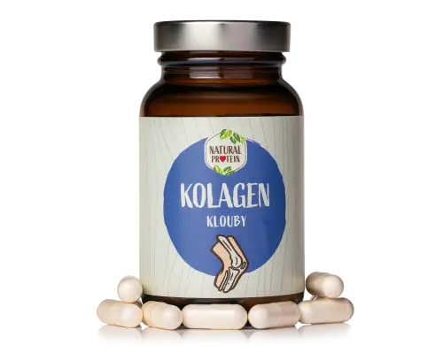 Kolagén - Kĺby 1 kus