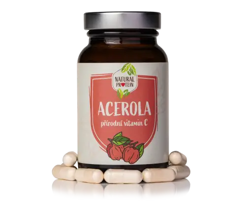 Acerola 1 kus